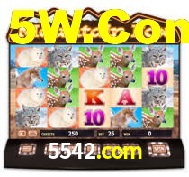 5542